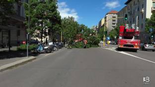 Cronaca meteo diretta - Vento forte a Milano: albero caduto in via Washington - Video