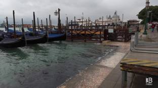 Cronaca meteo diretta - Maltempo, acqua alta a Venezia: si allaga Piazza San Marco - Video
