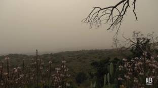 Cronaca meteo diretta - Sicilia, cieli ocra per i venti che arrivano dal deserto - Video