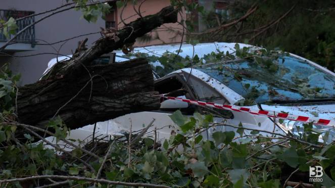 Cronaca meteo Milano: danni tornado a Pregnana (MI): automobile distrutta da albero - VIDEO