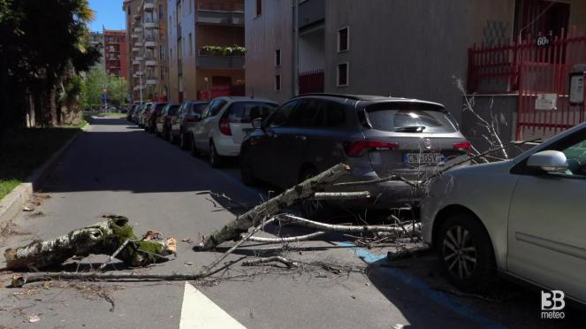 Cronaca meteo diretta - Vento forte a Milano, ramo caduto su auto in via Vidali - Video