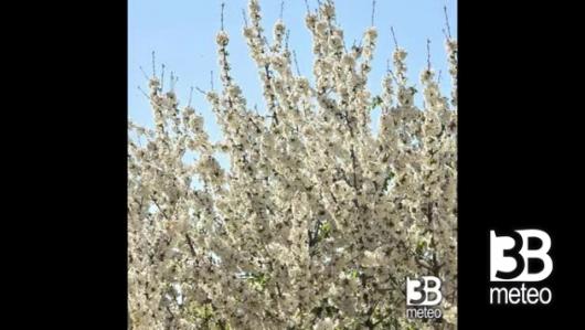 Sole e mitezza ovunque, da venerdì inizia a cambiare