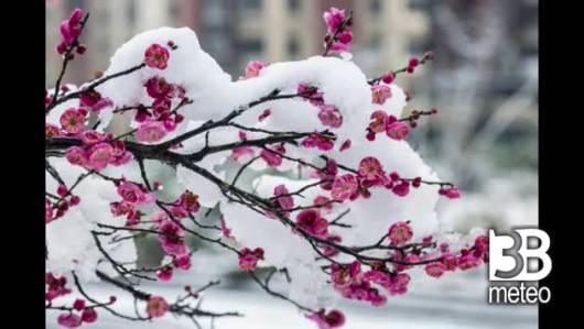Torna l'inverno: neve, temporali e crollo termico